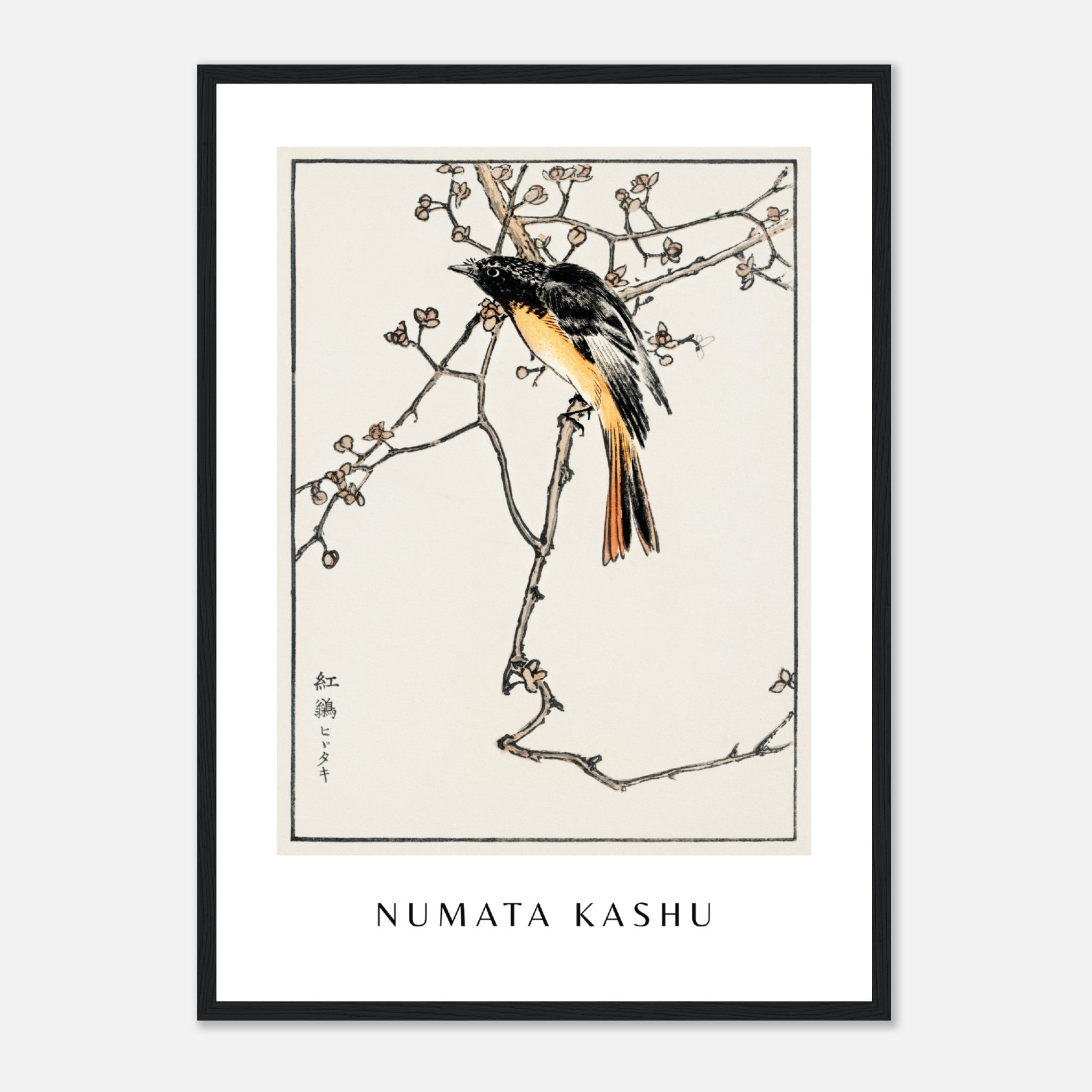 Impresión 1 de Numata Kashu Póster