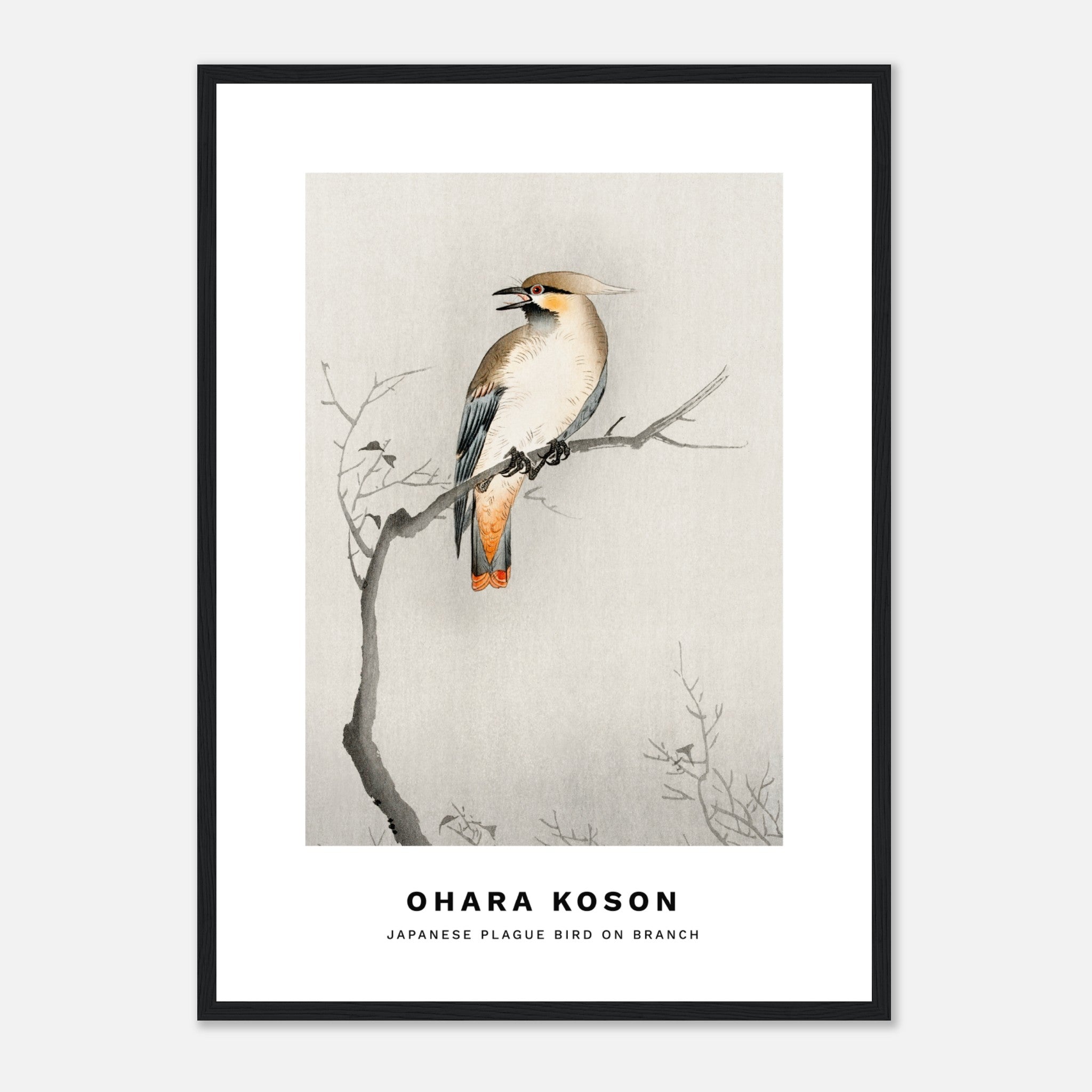 Ohara Koson - pájaro de la plaga japonesa Póster