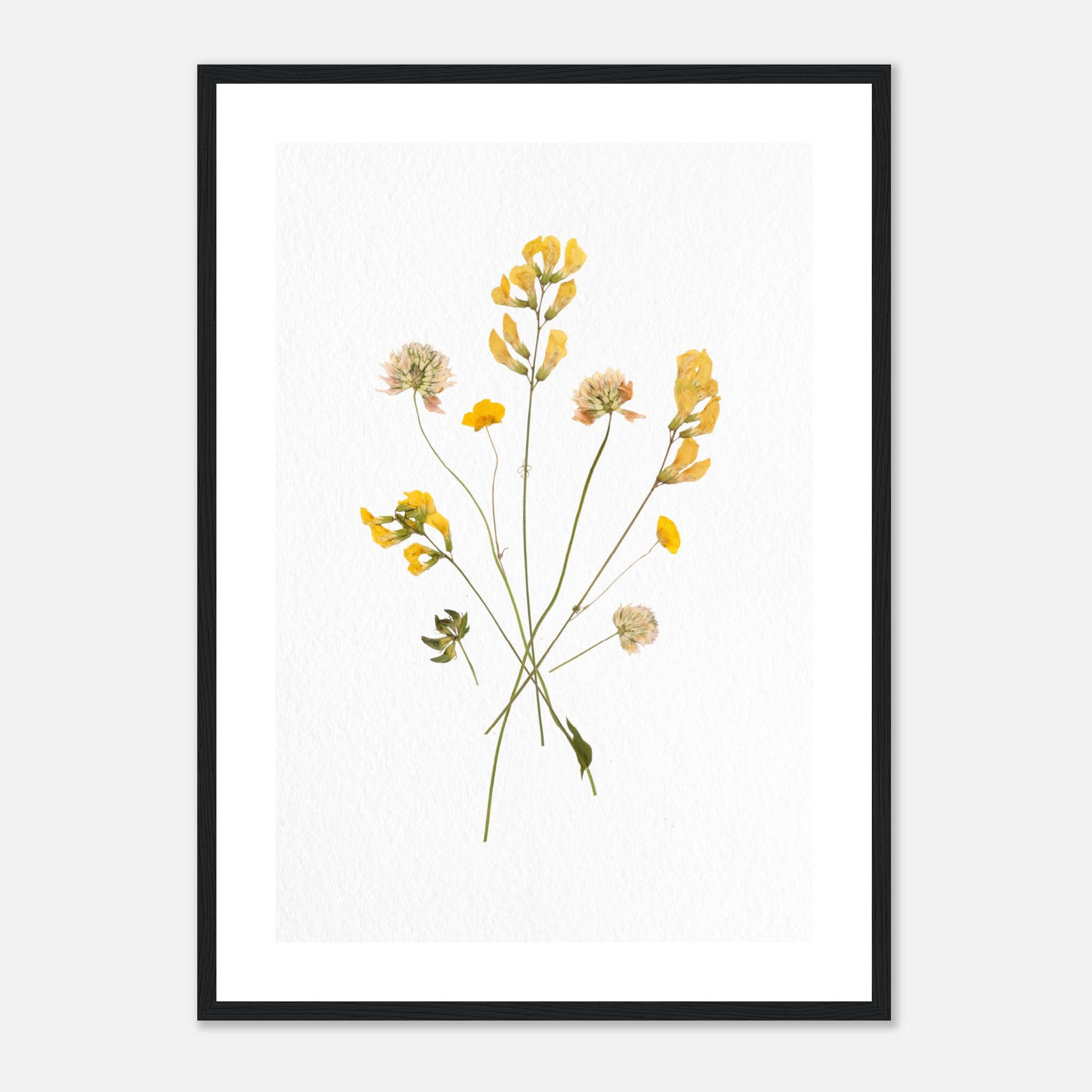 Dried Flowers On Textured Paper 5 Poster