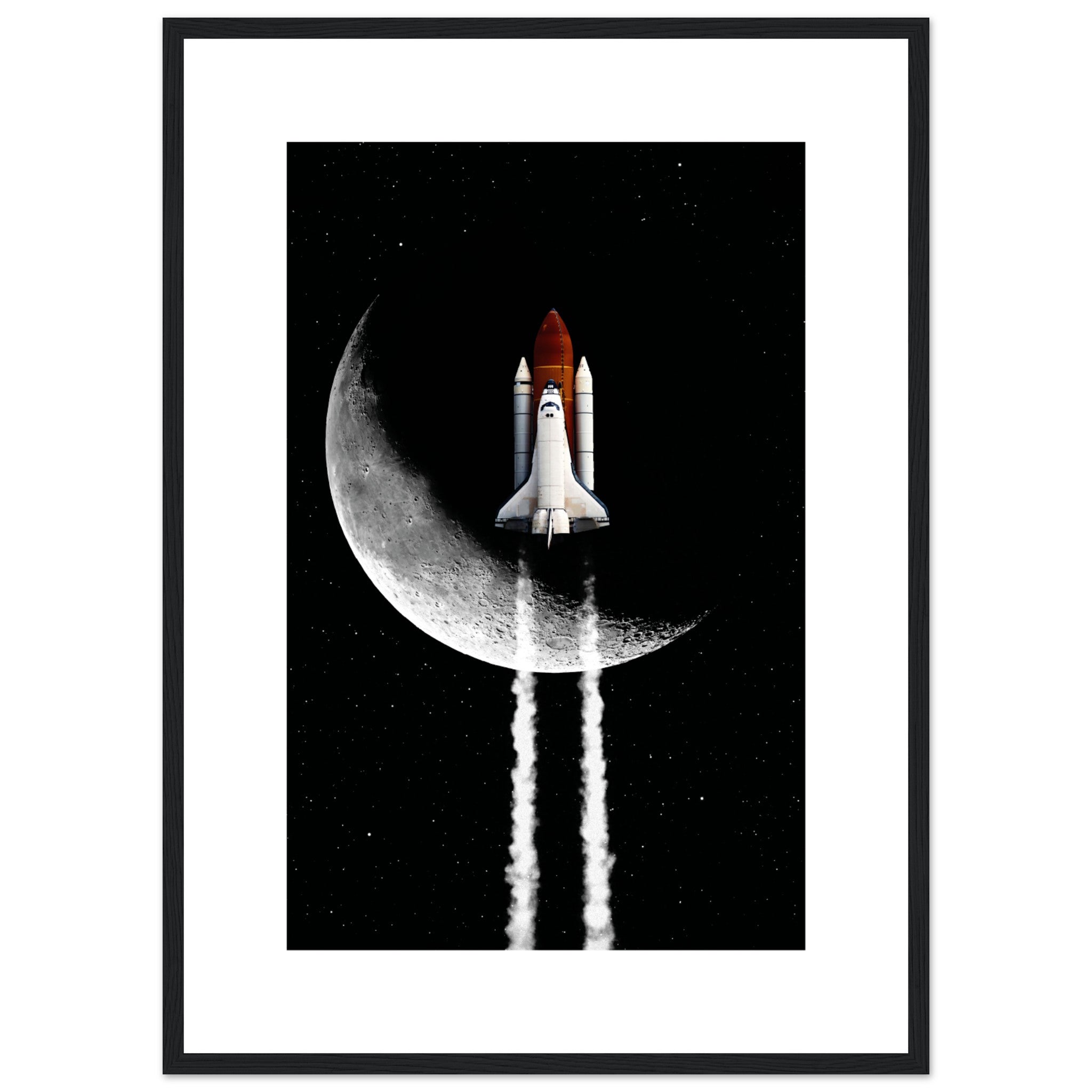 Moon Mission Poster