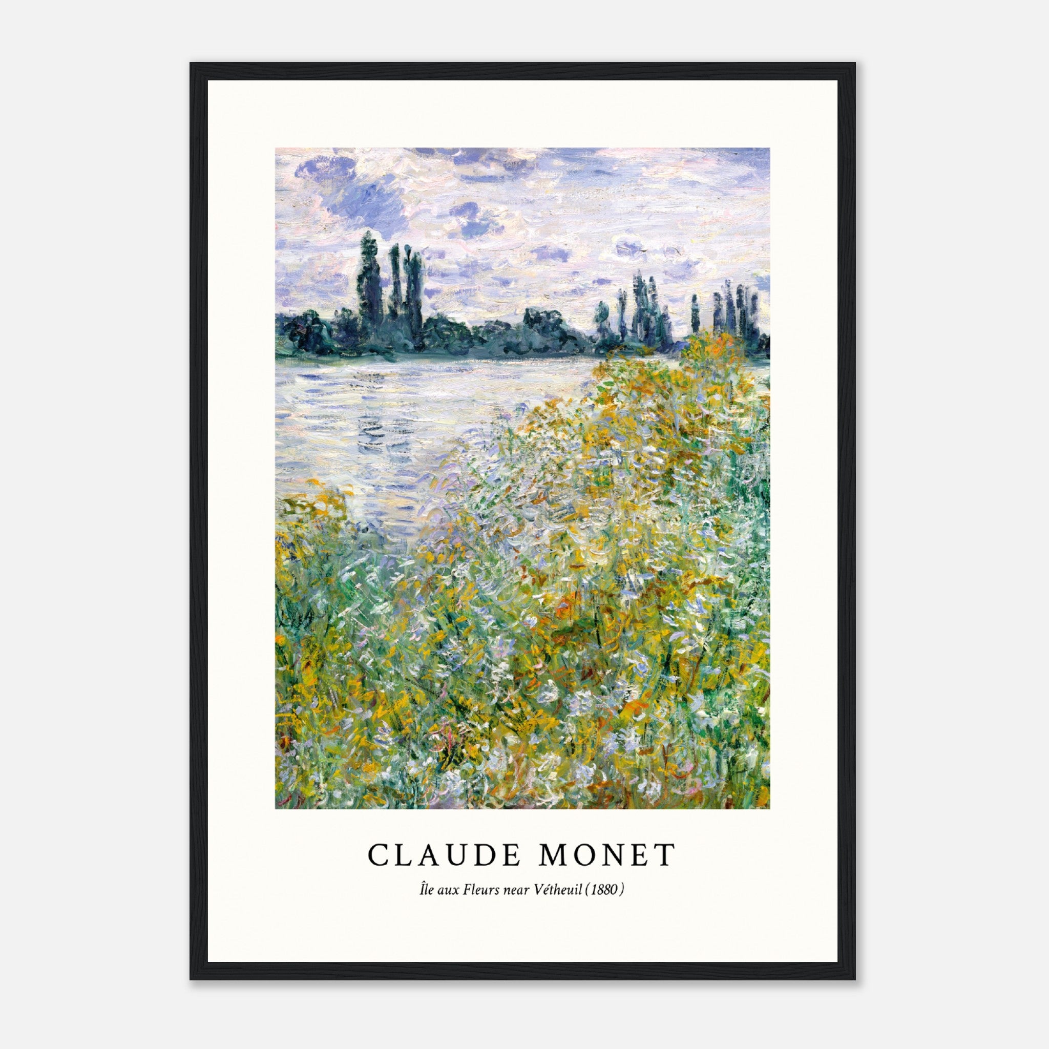Claude Monet VI Poster