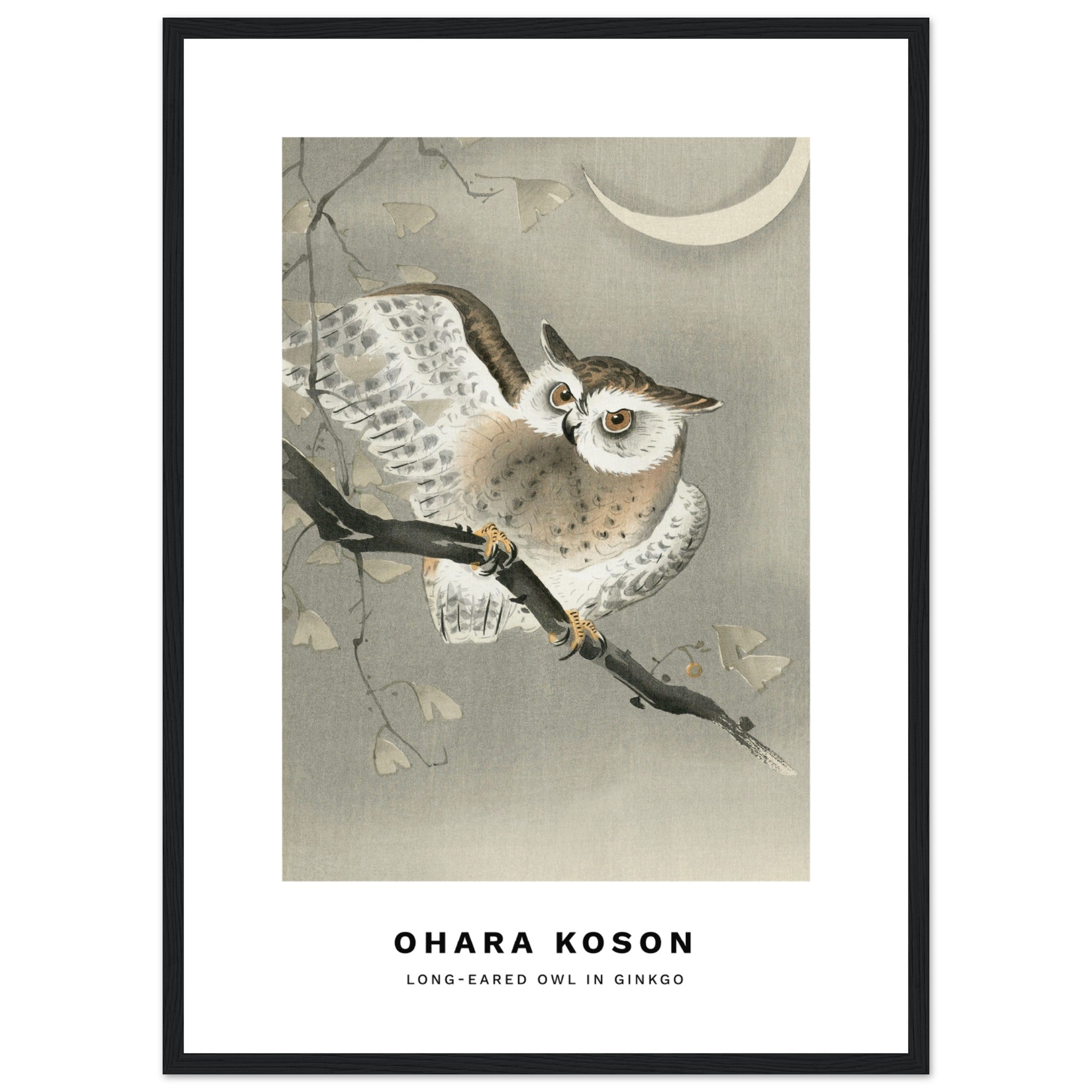 Long-eared owl in ginkgo by Ohara Koson Poster