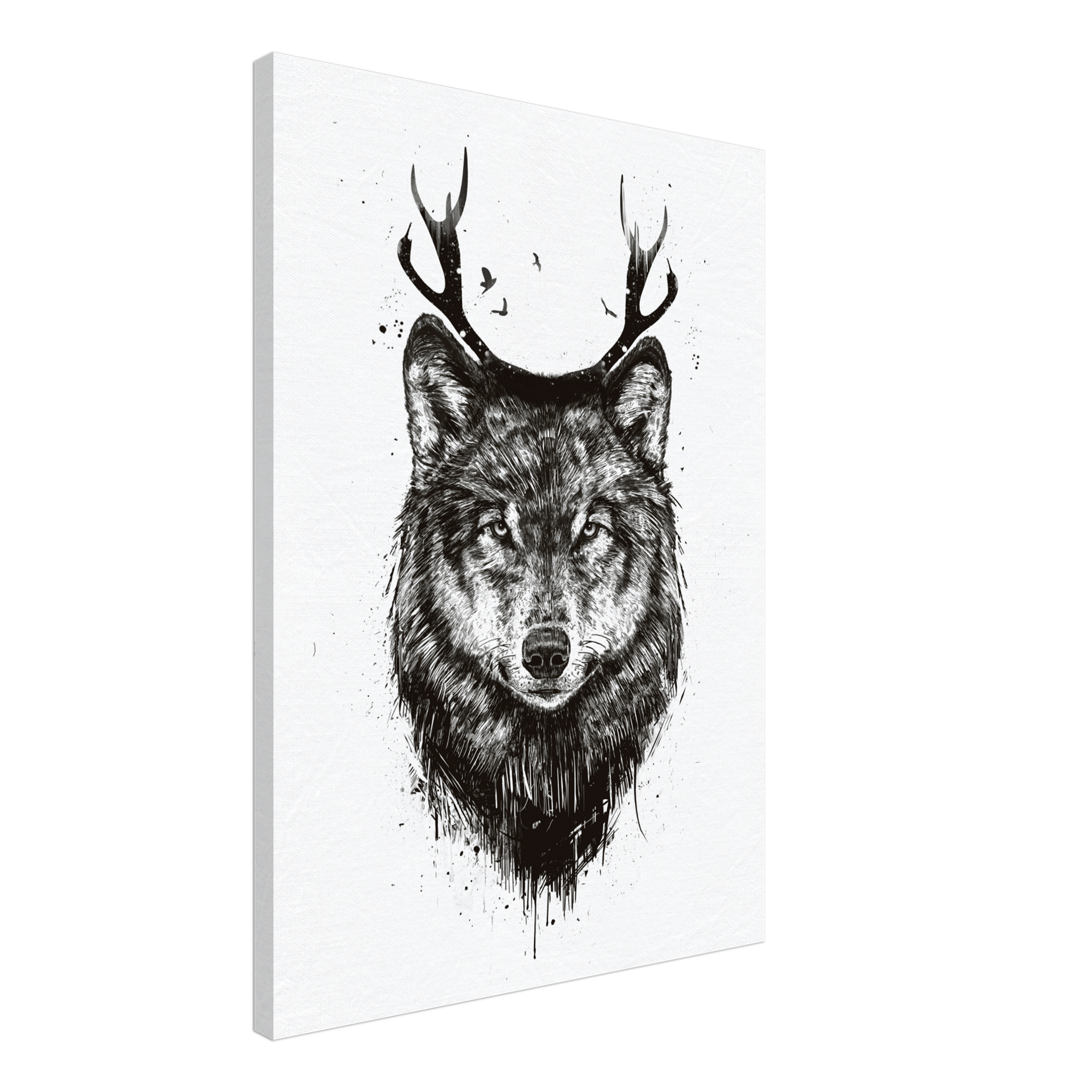 Deer Wolf BW Canvas