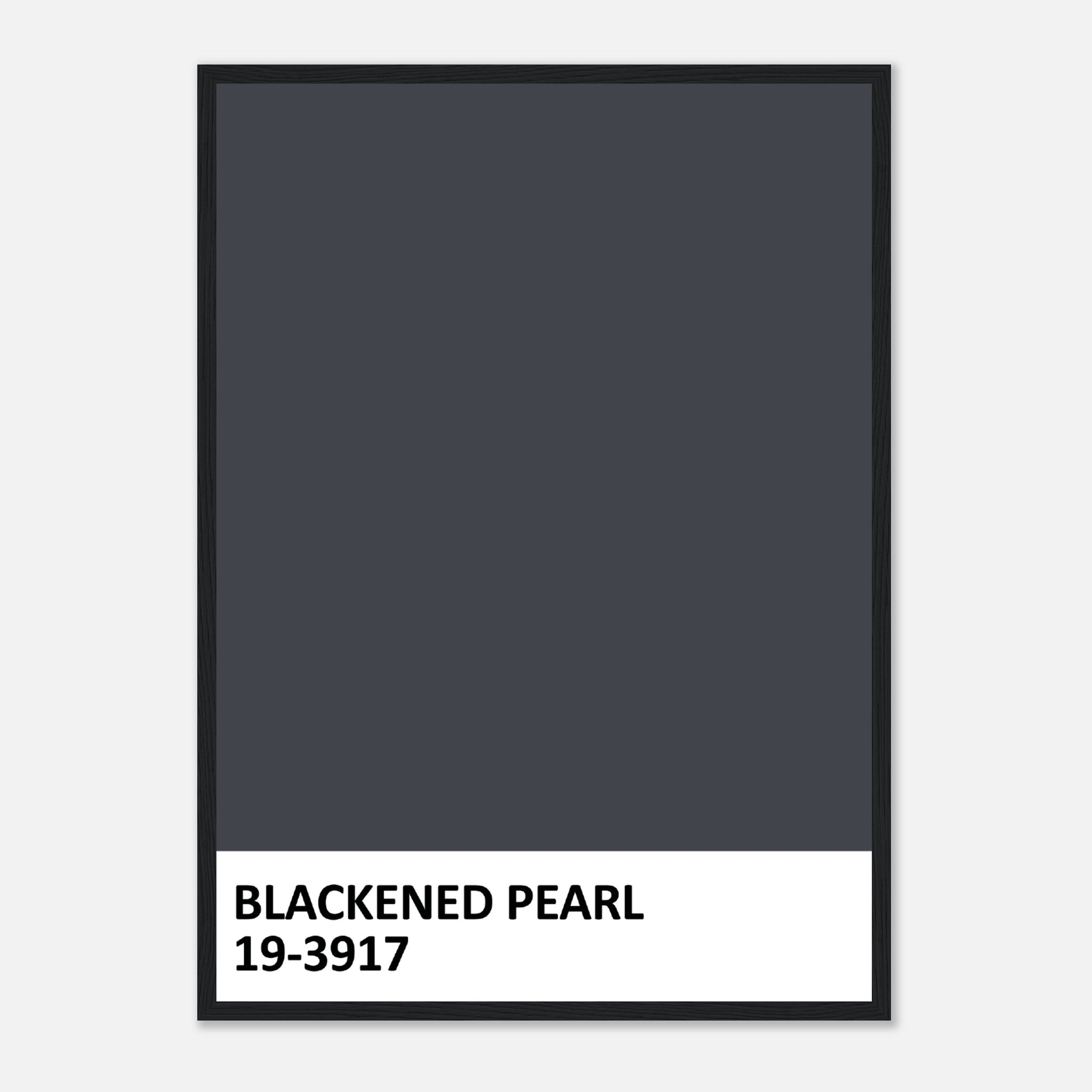 Paint Blackened Pearl Poster