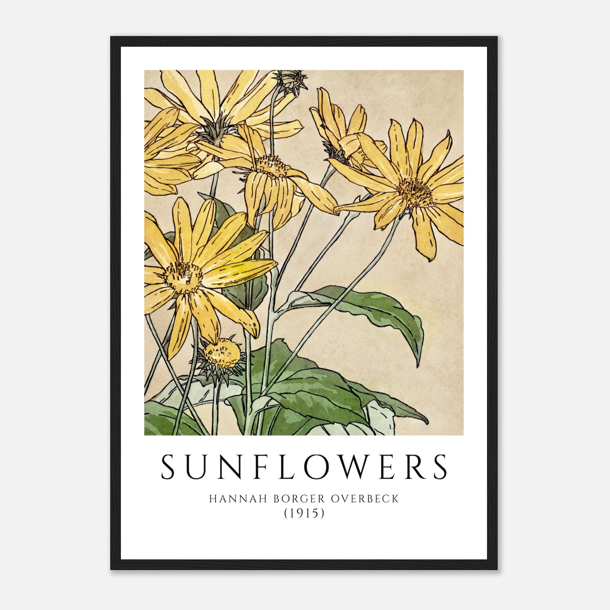 Sunflowers by Hannah Borger Poster