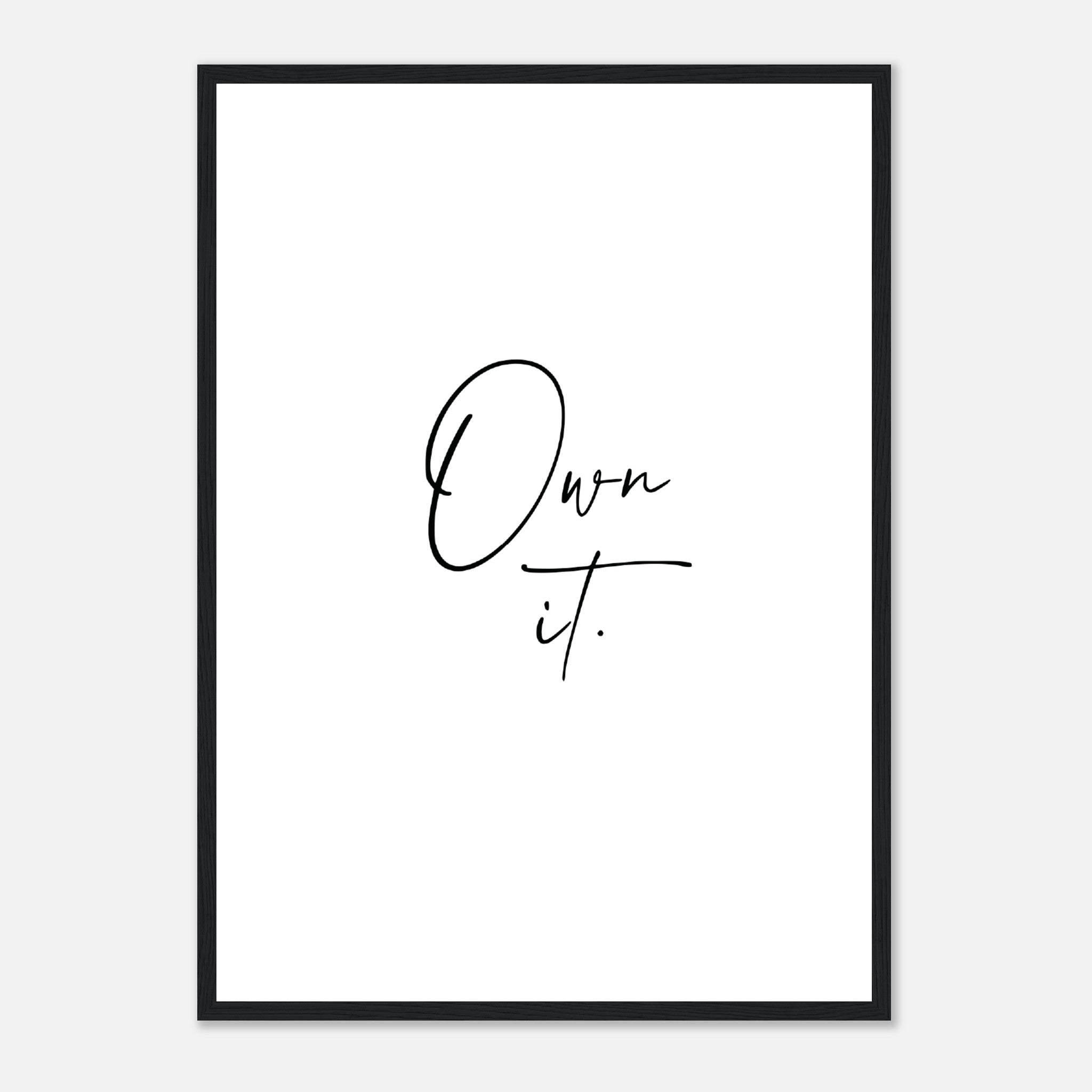 Own It Poster