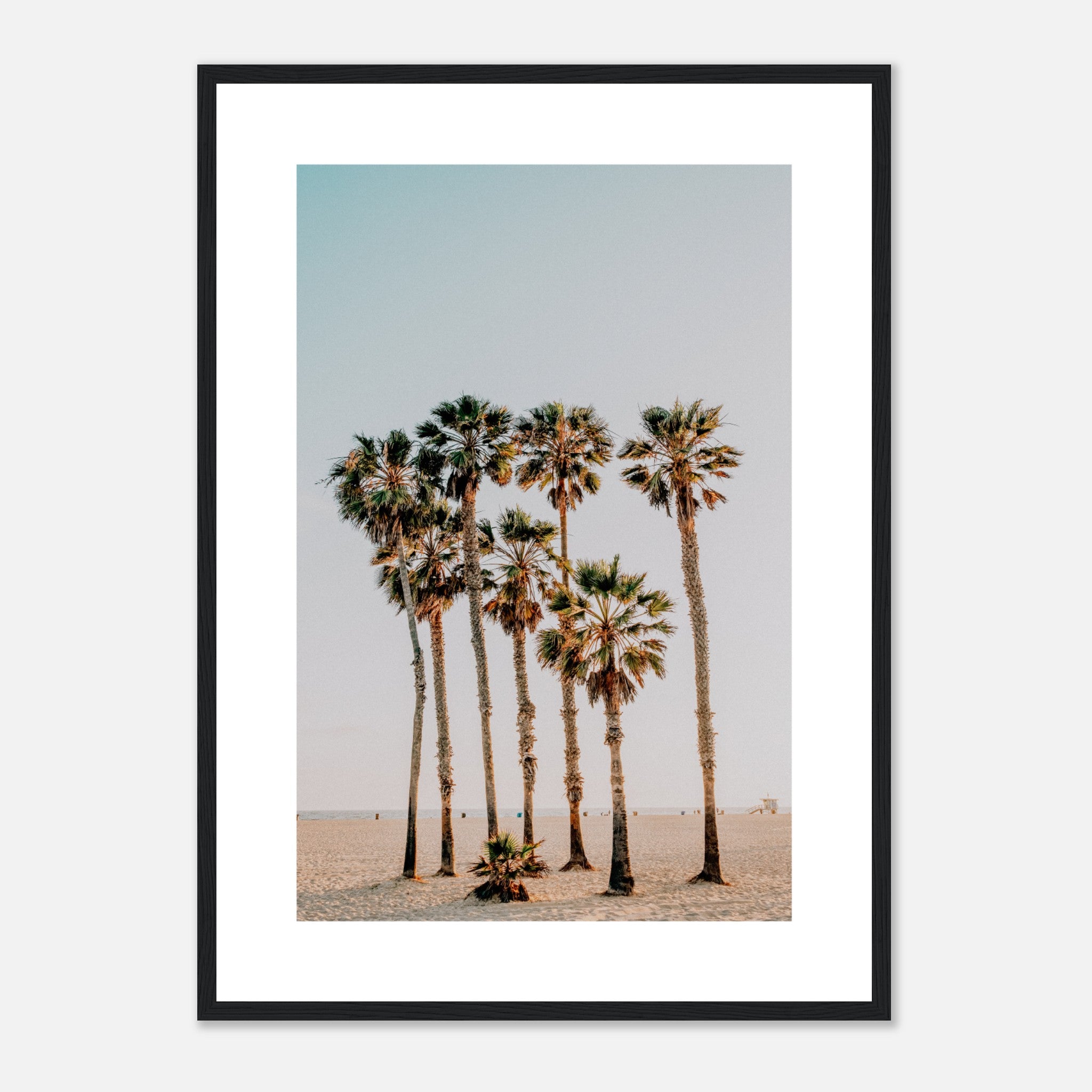 Palm Trees In Miami Poster