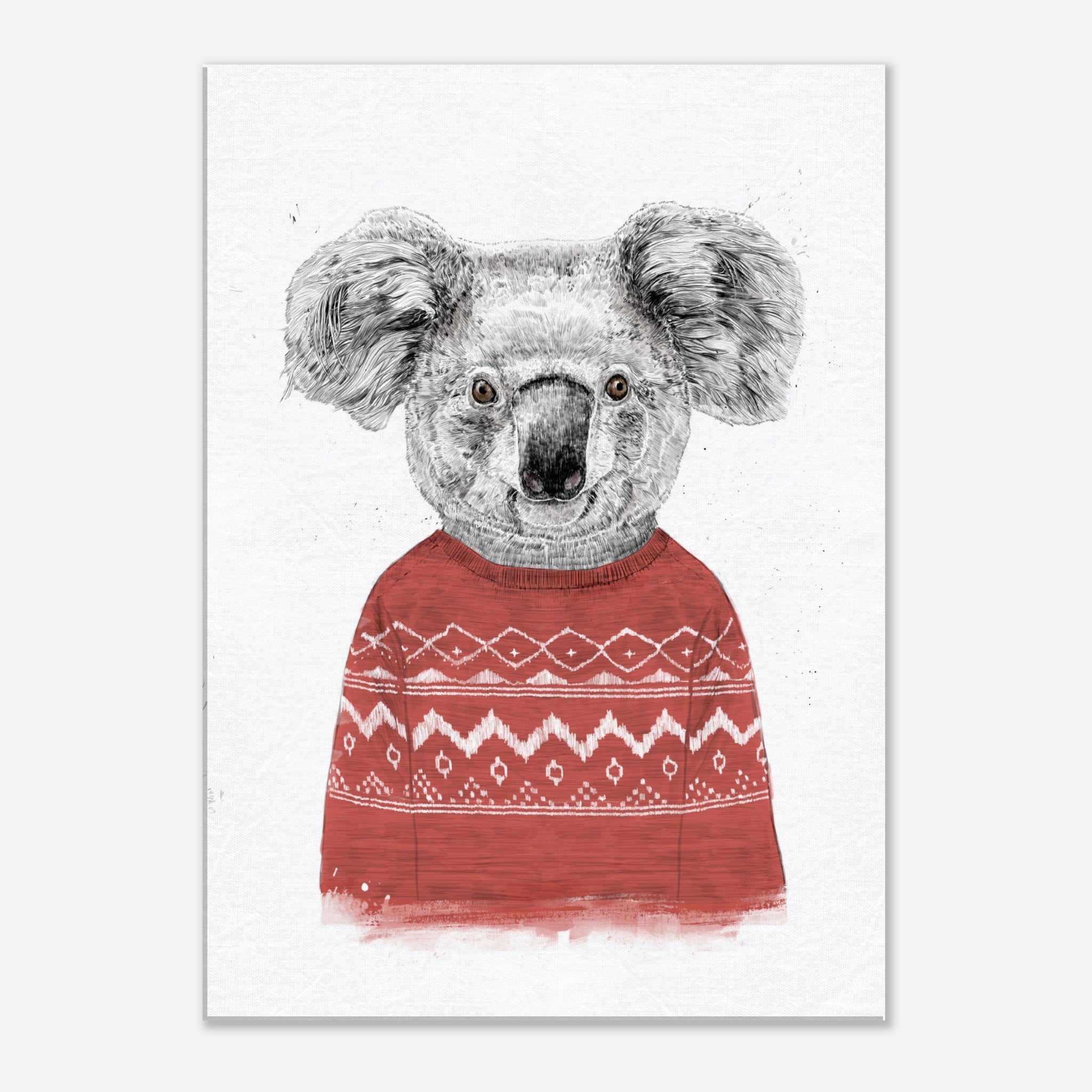 Winter Koala Red Canvas