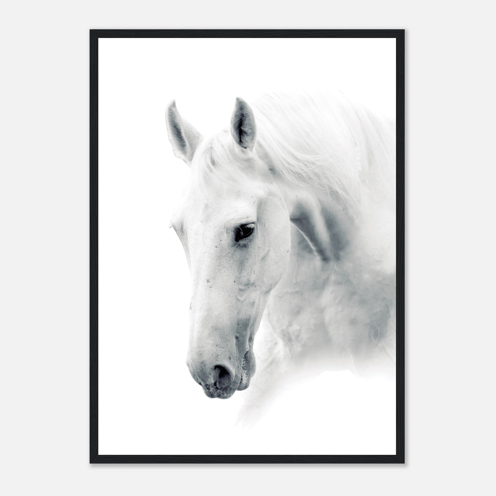Lighted Horse Poster