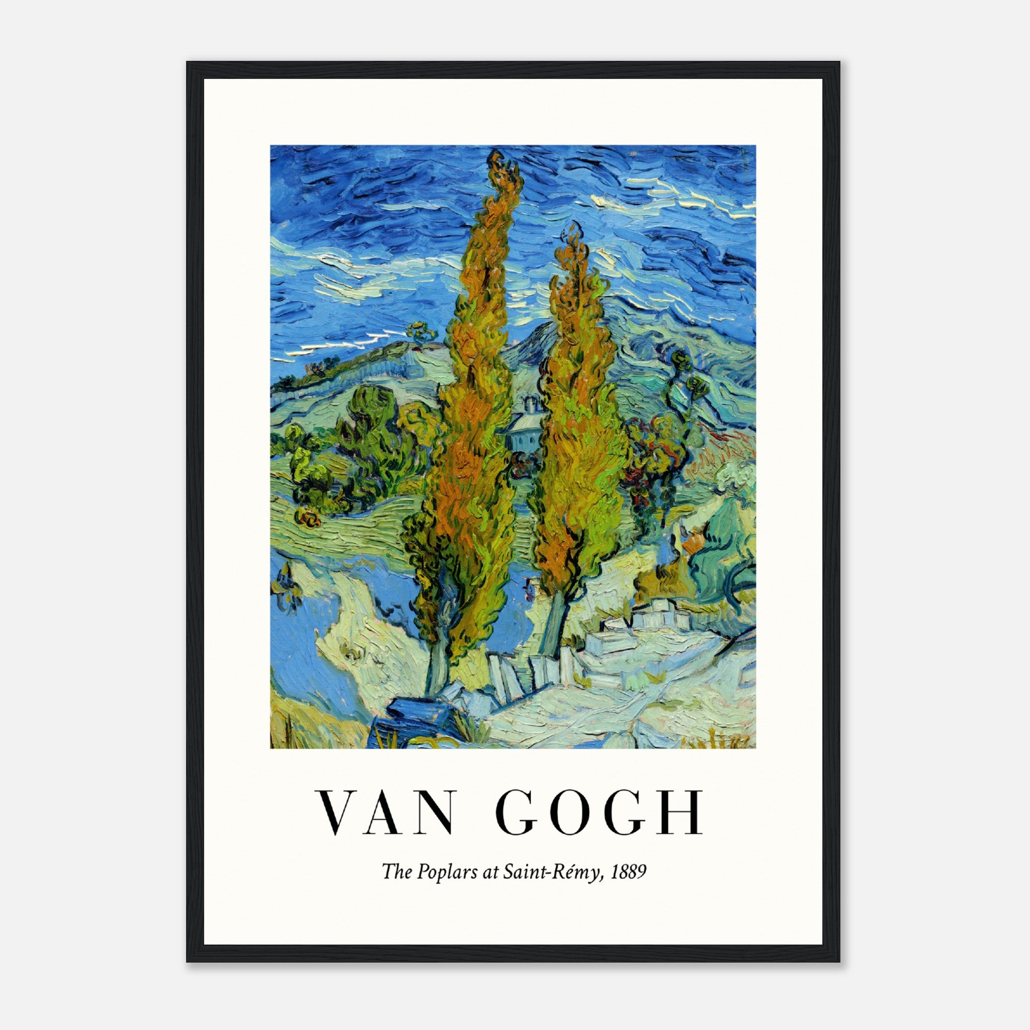 Van Gogh XI Póster