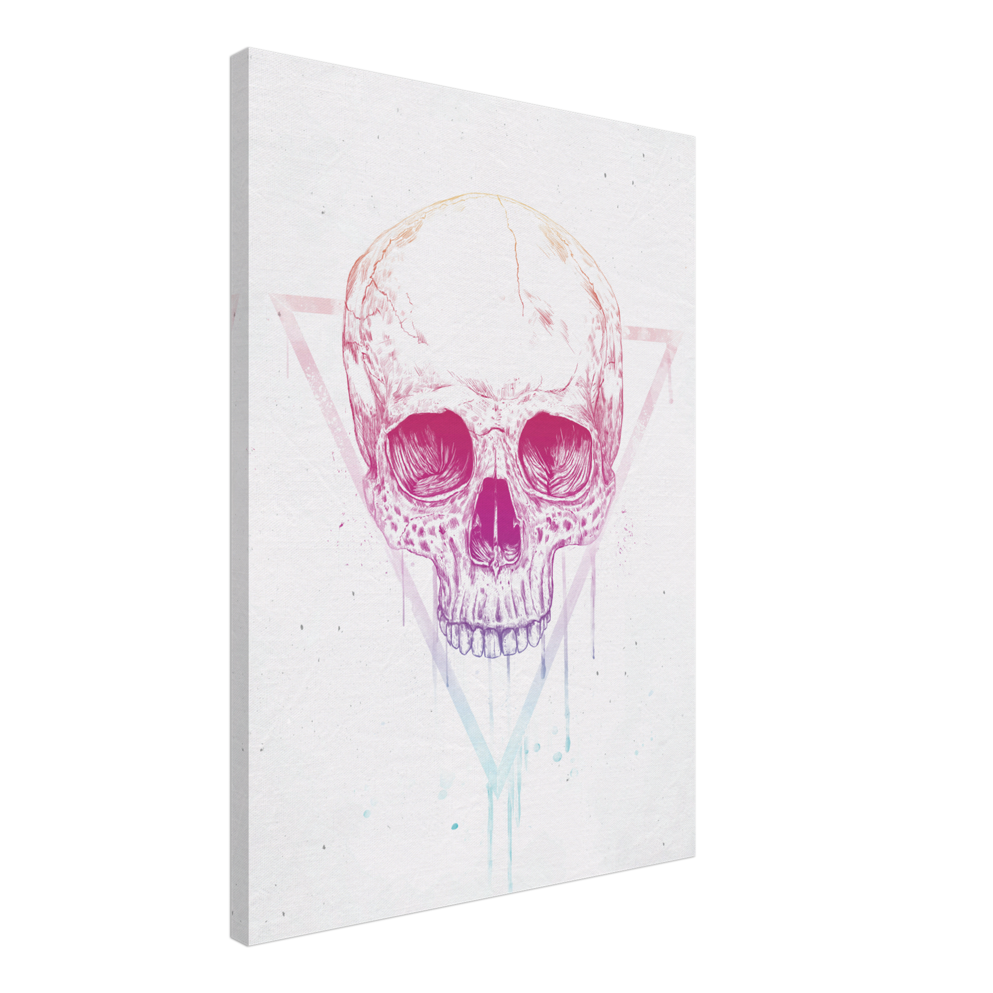 Skull In A Triangle Canvas
