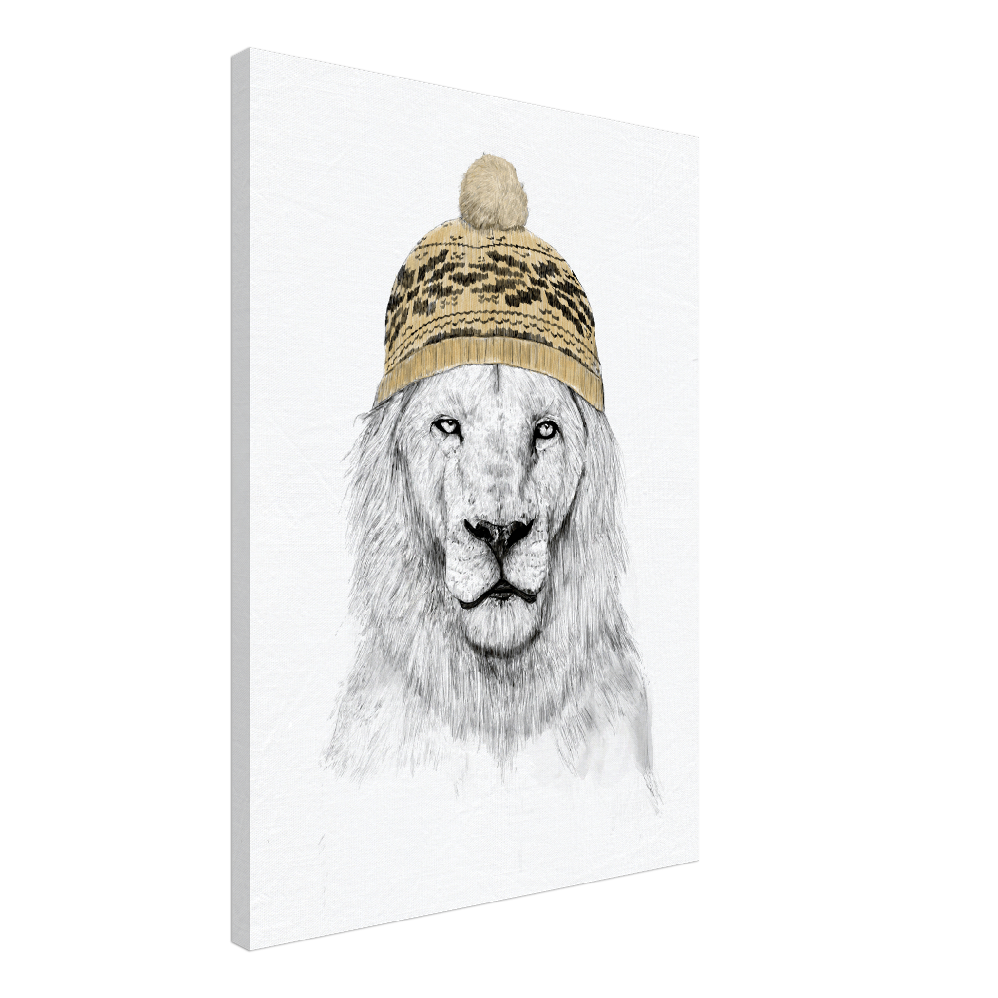 Winter Lion Canvas