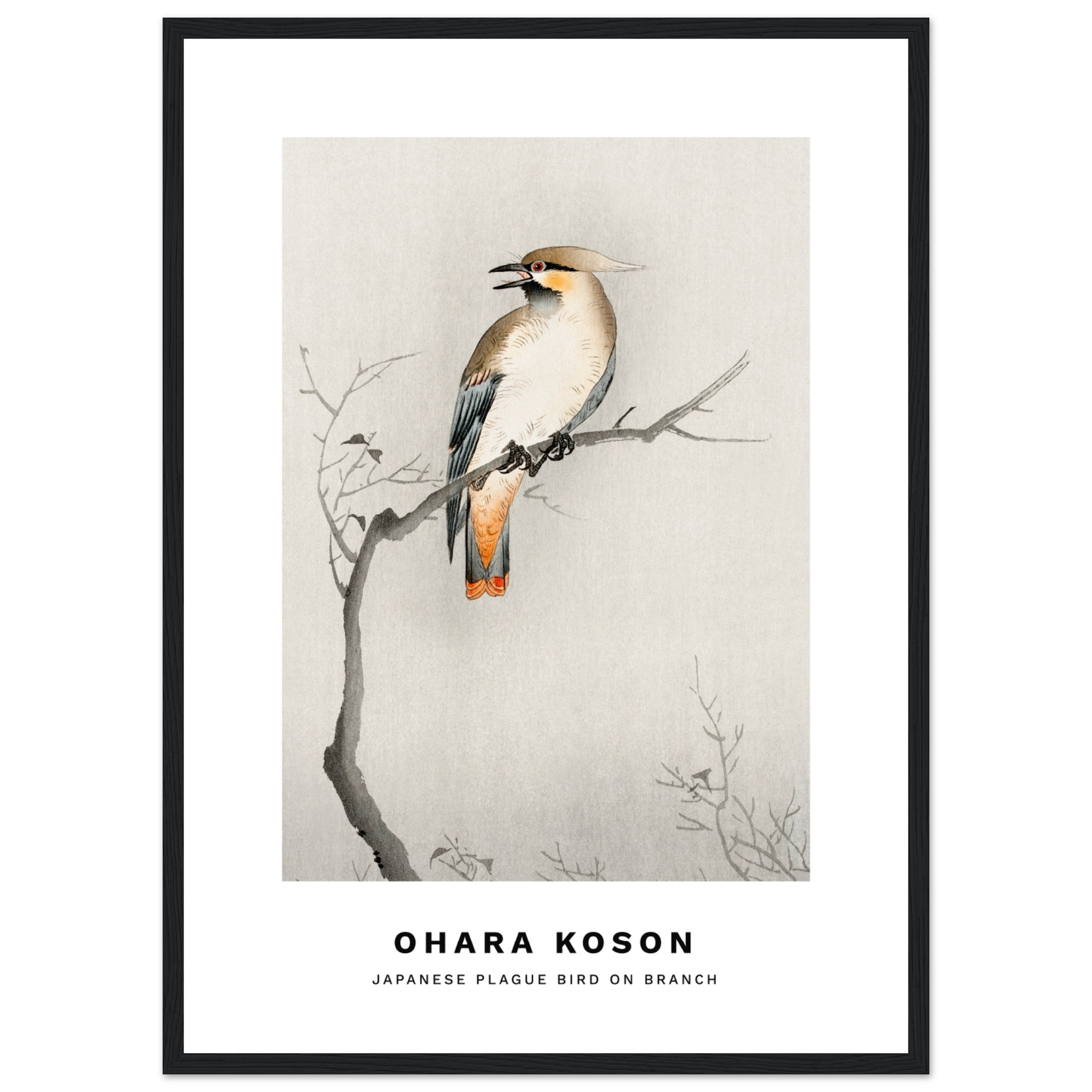 Ohara Koson - pájaro de la plaga japonesa Póster
