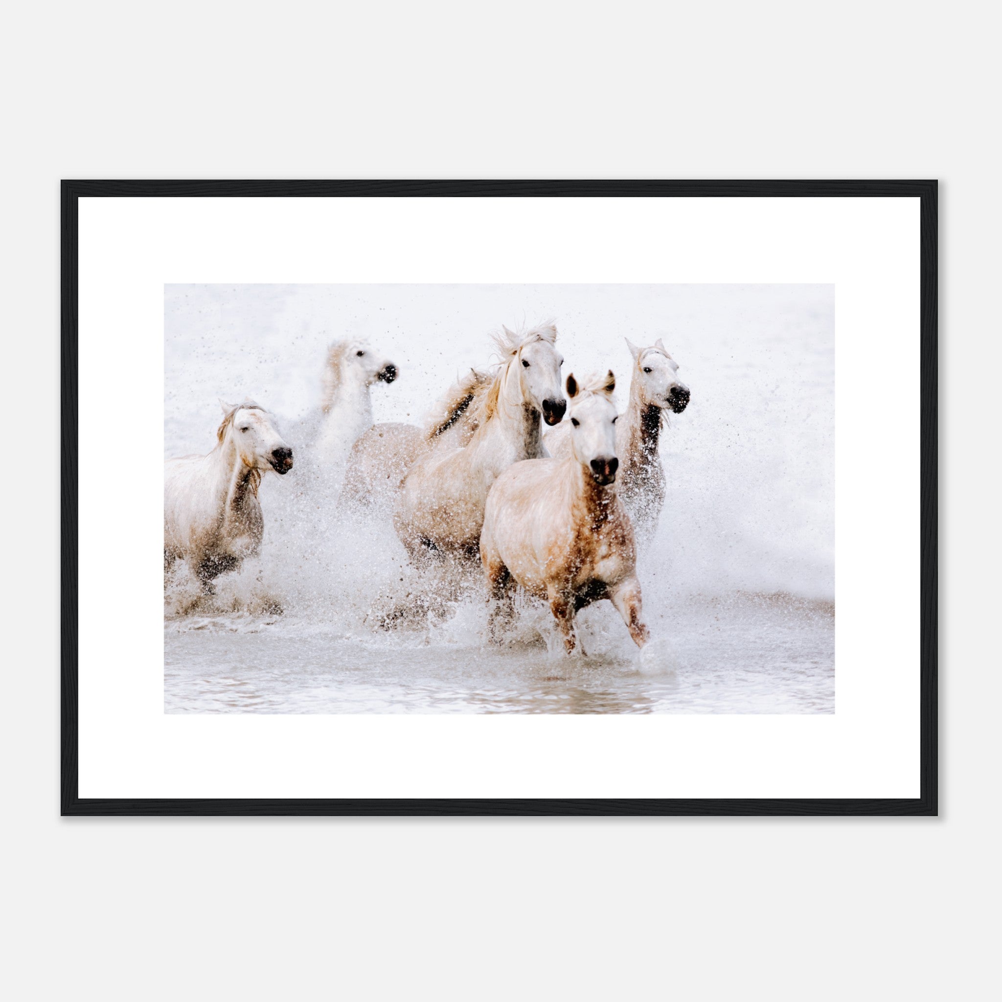 Galloping Wild Horses Poster