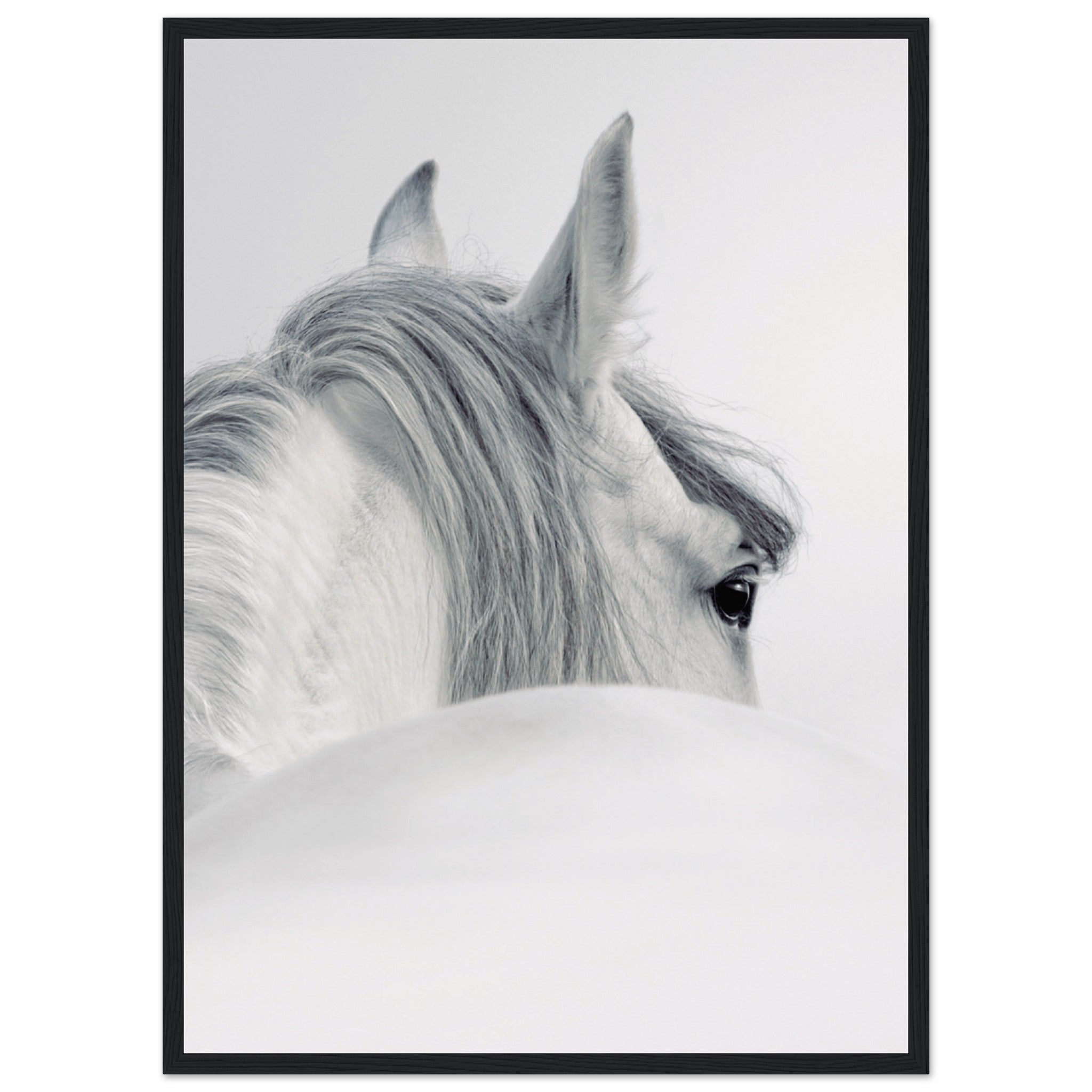 Horse Back Poster