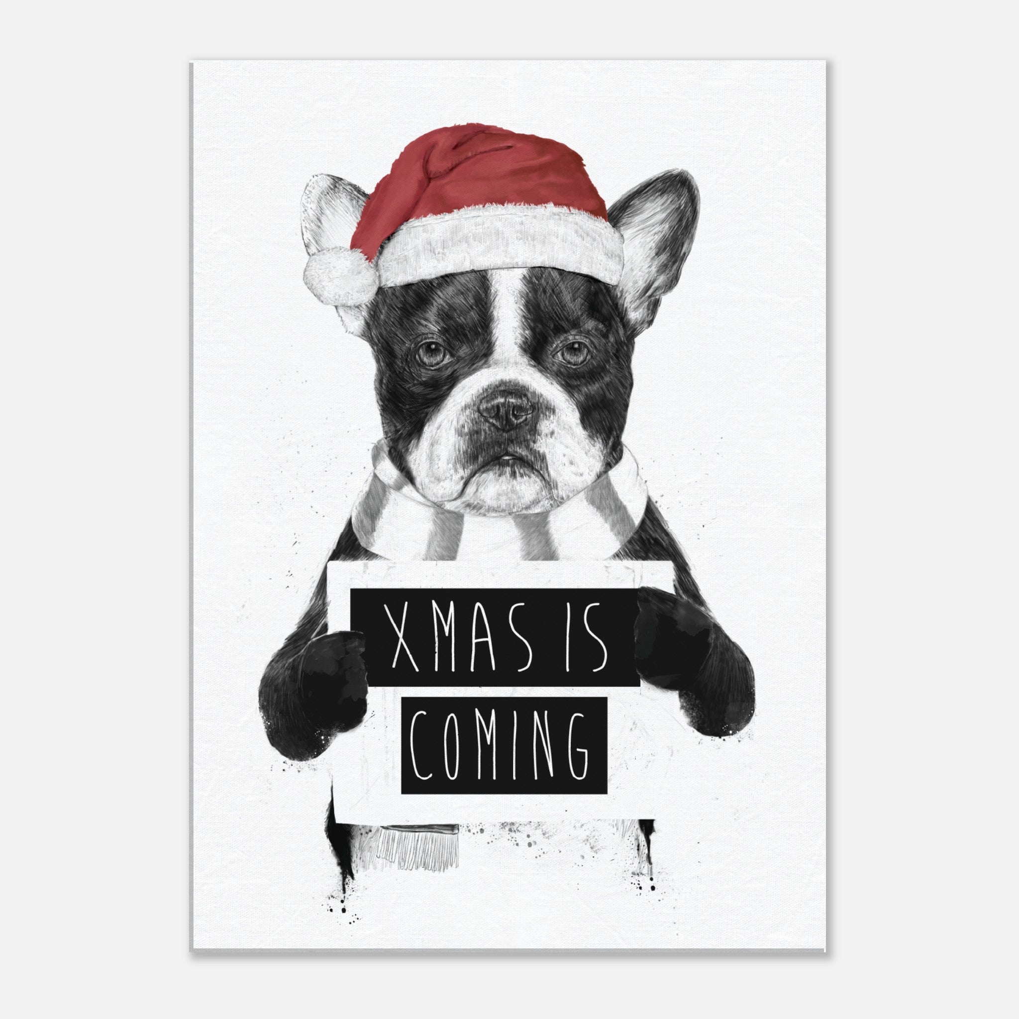 Xmas Is Coming Canvas