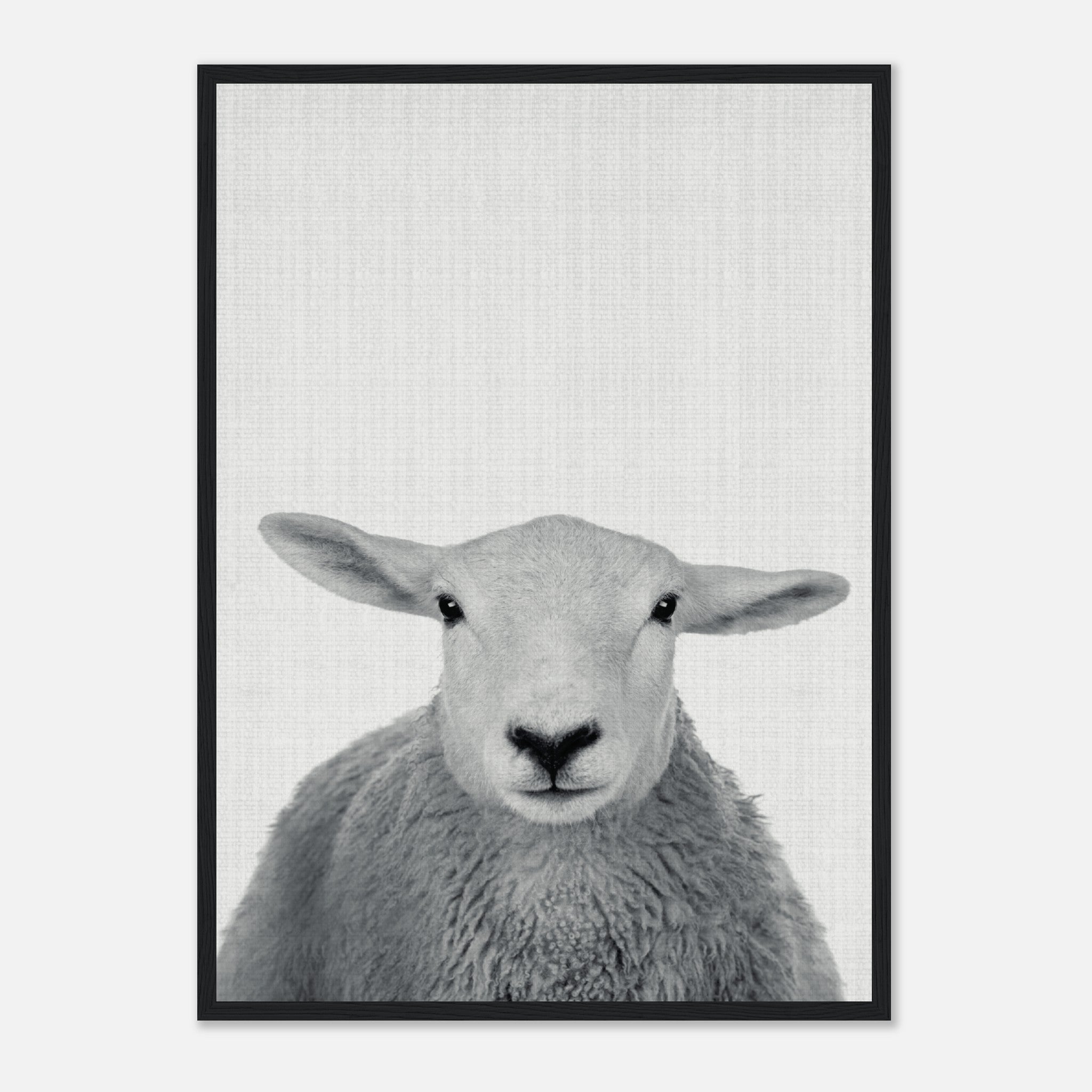 Trust this wise sheep Poster