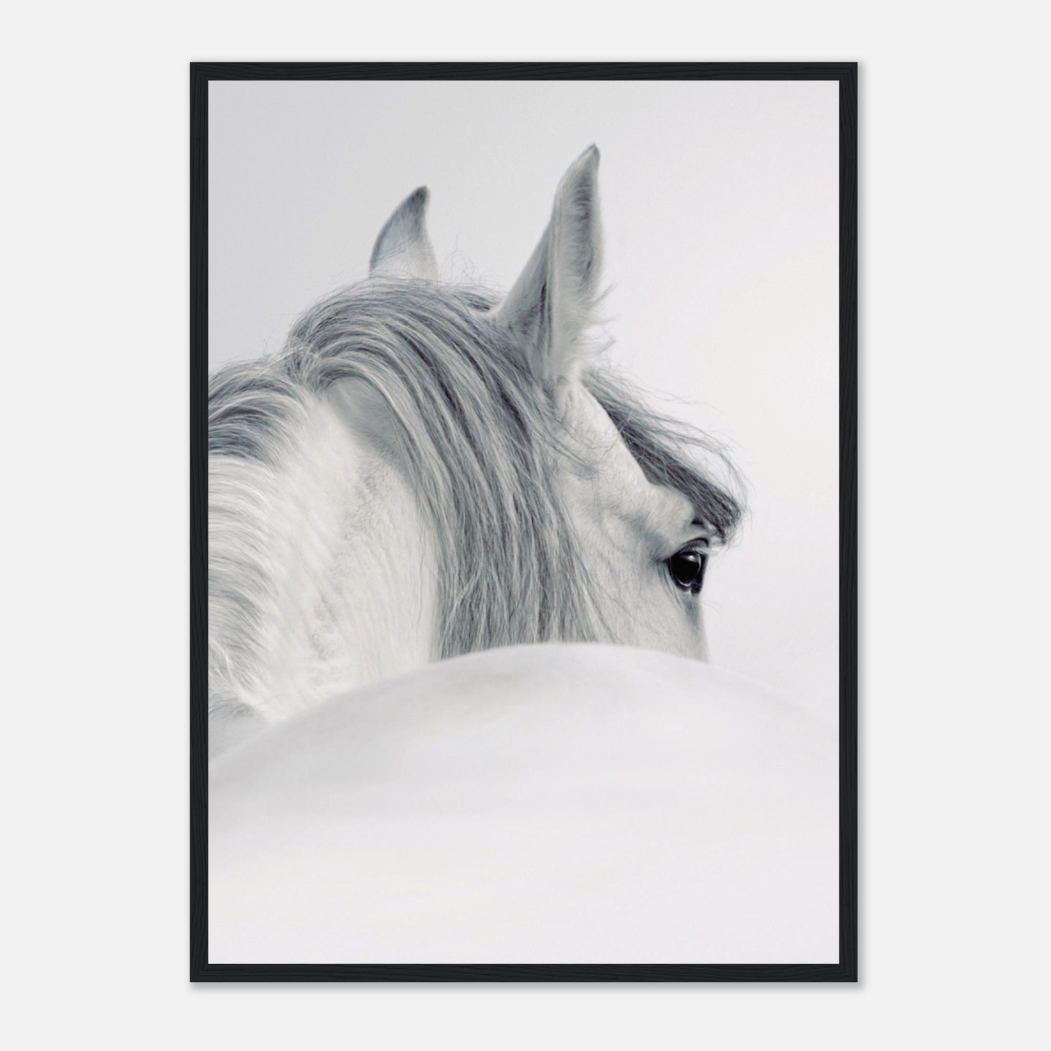 Horse Back Poster