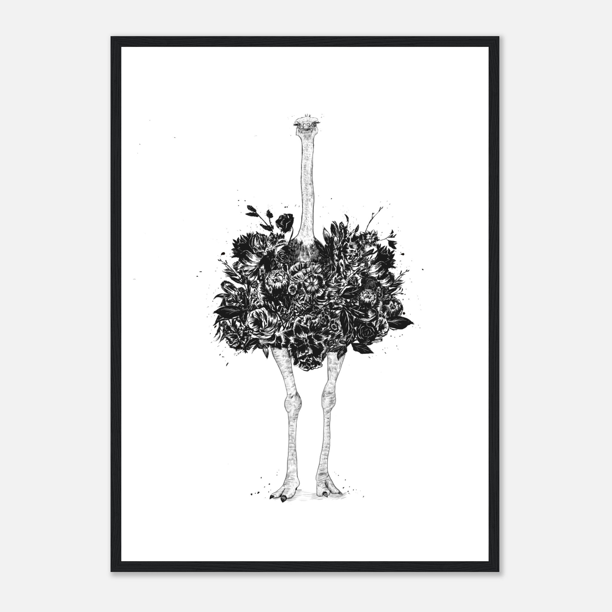 Floral Ostrich Poster