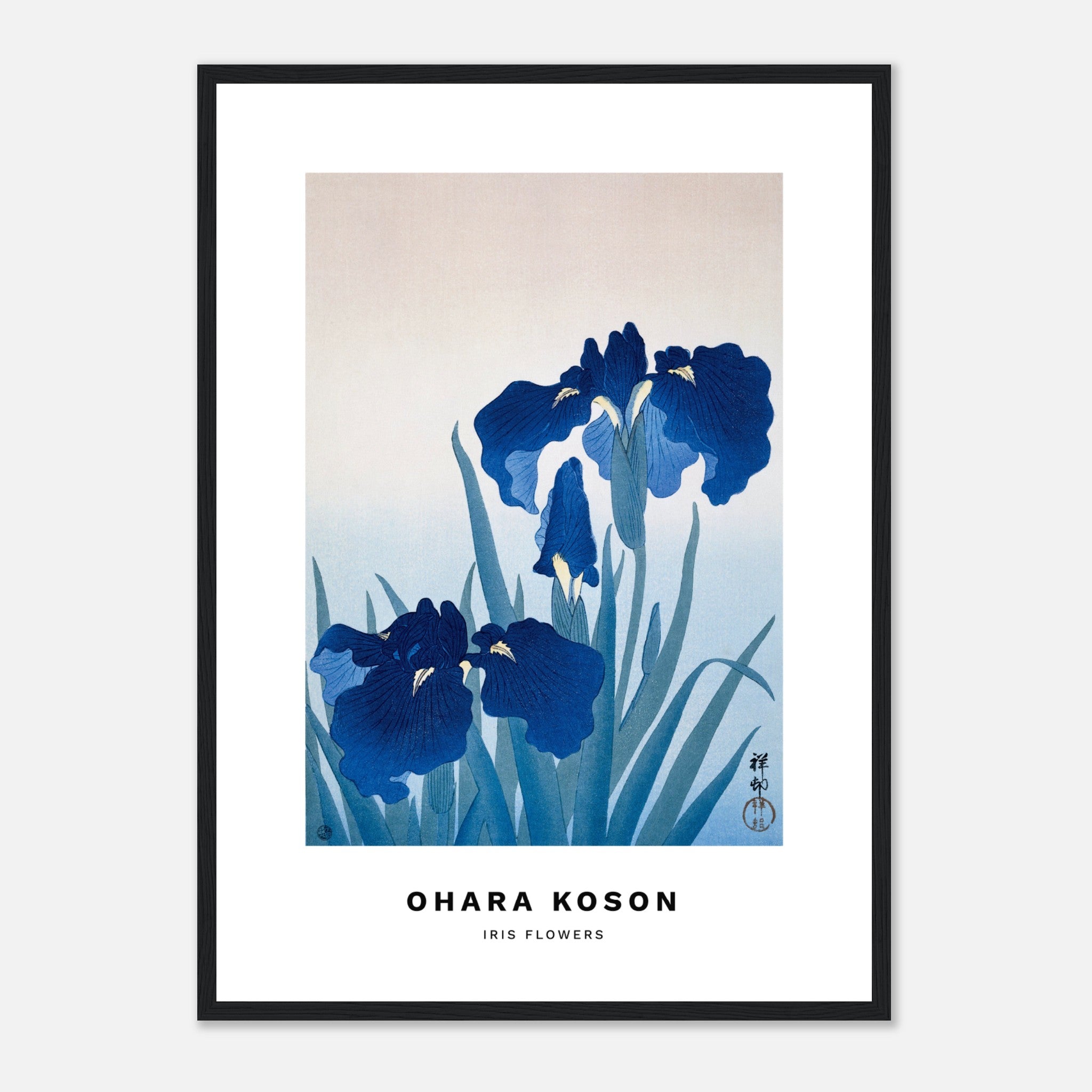 Iris flowers by Ohara Koson Poster