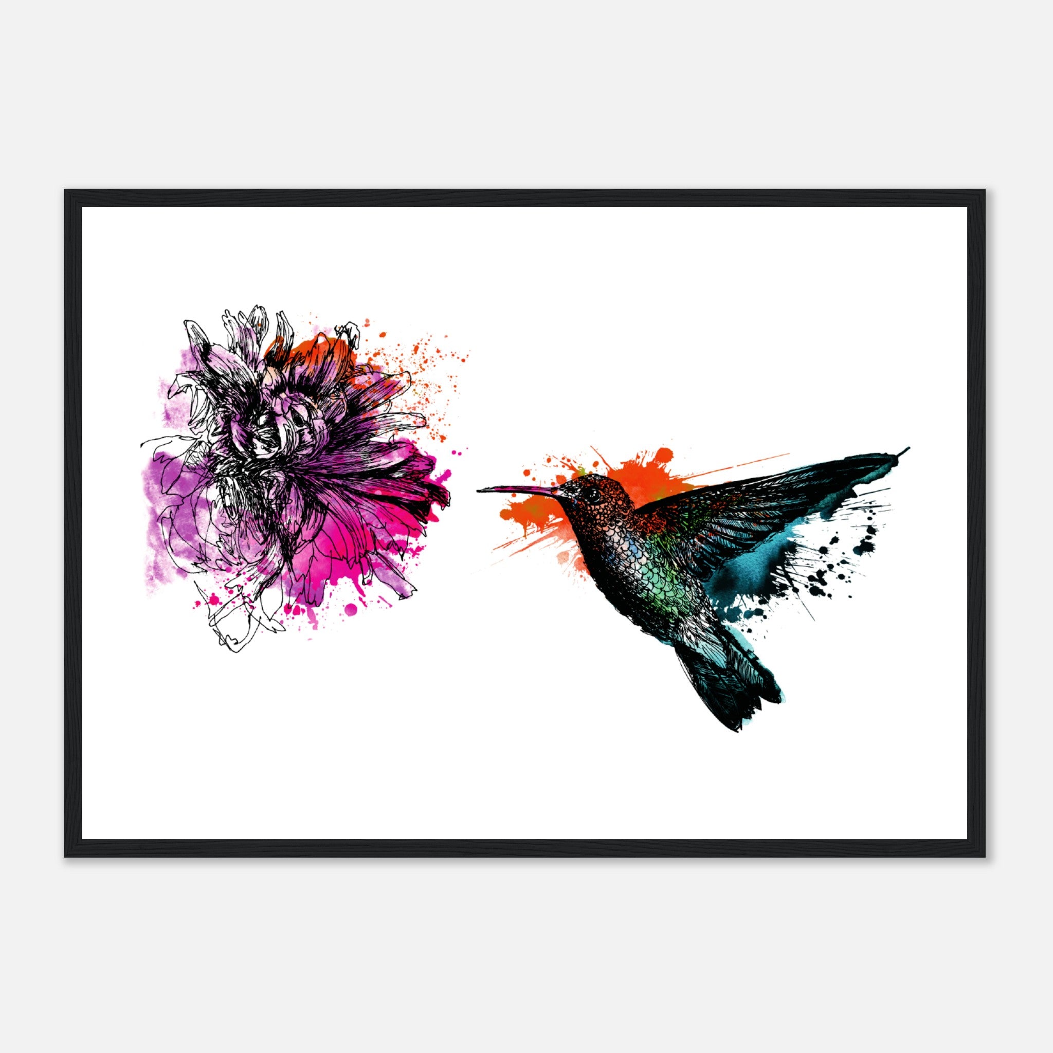 Ilustración de colibrí Póster