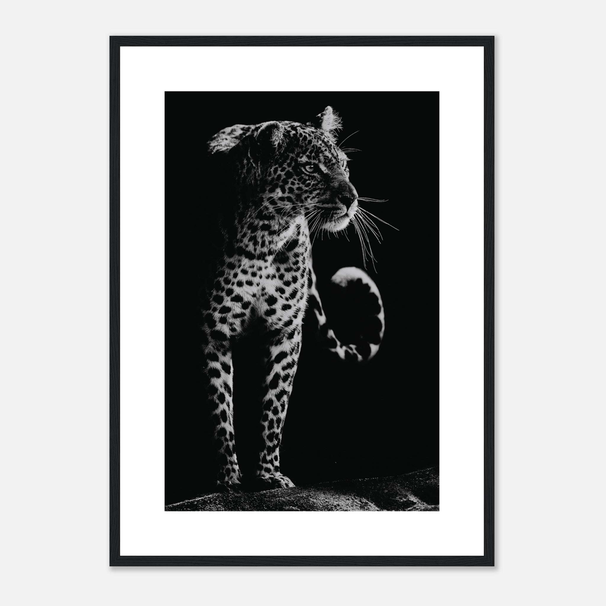 Monochrome Leopard Poster