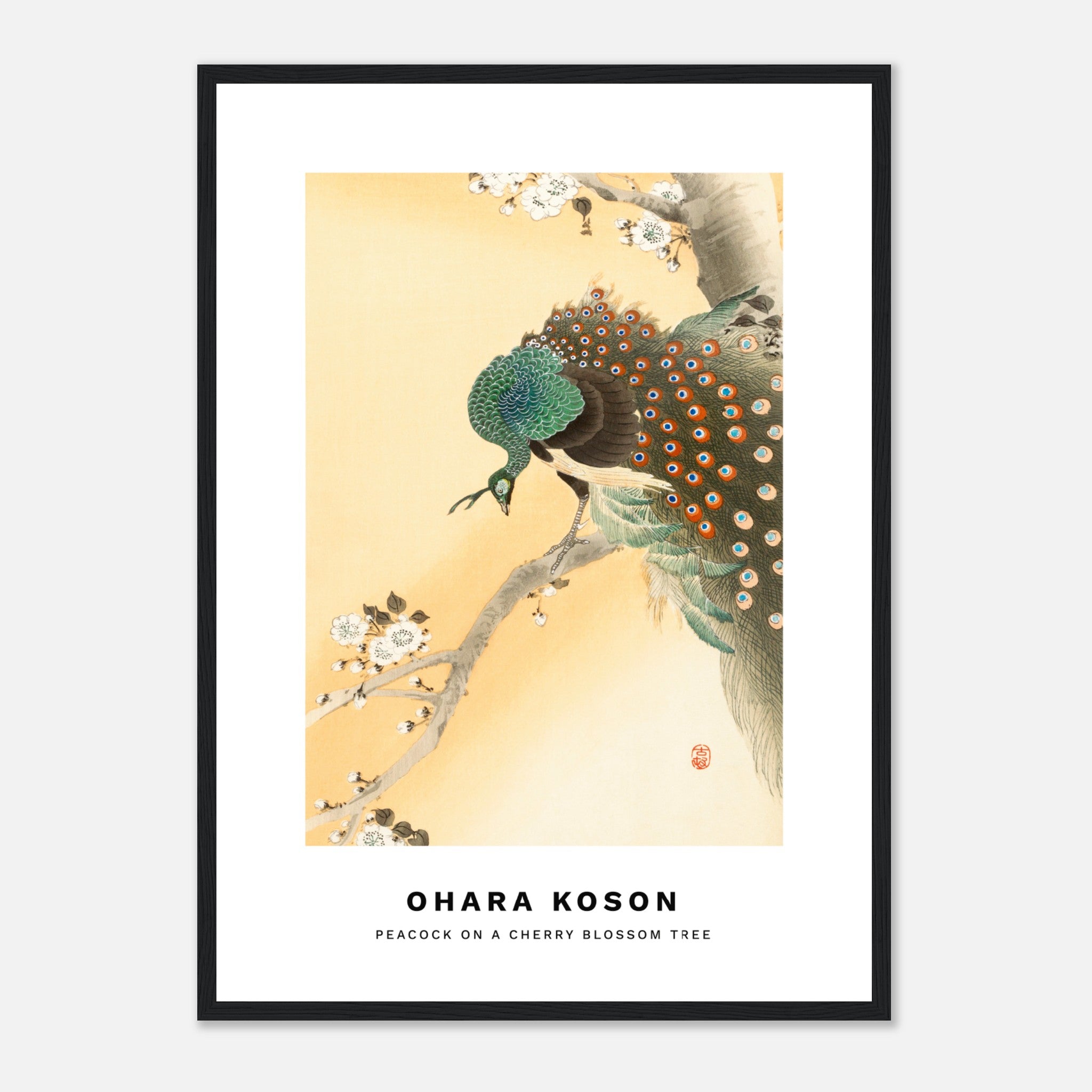 Ohara Koson - Pavo real en un cerezo en flor Póster