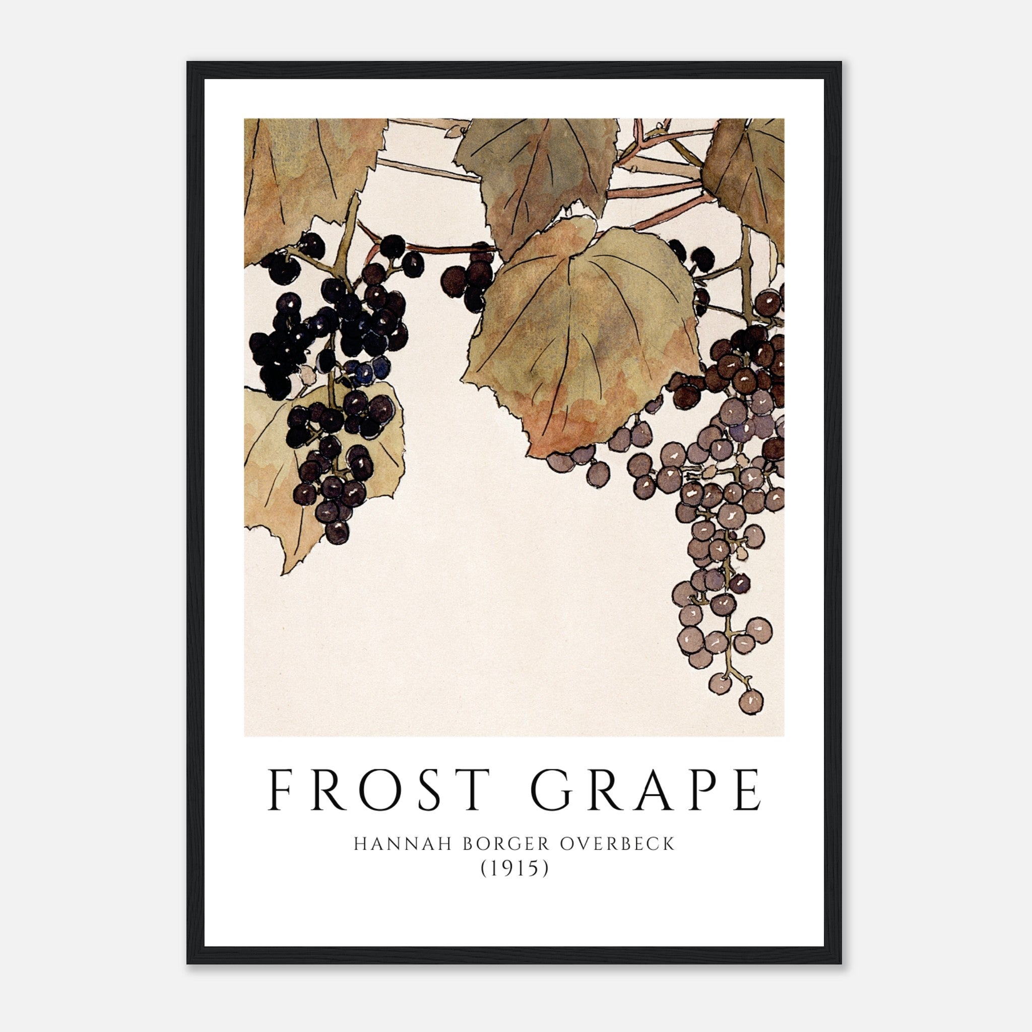 Frost Grape by Hannah Borger Poster