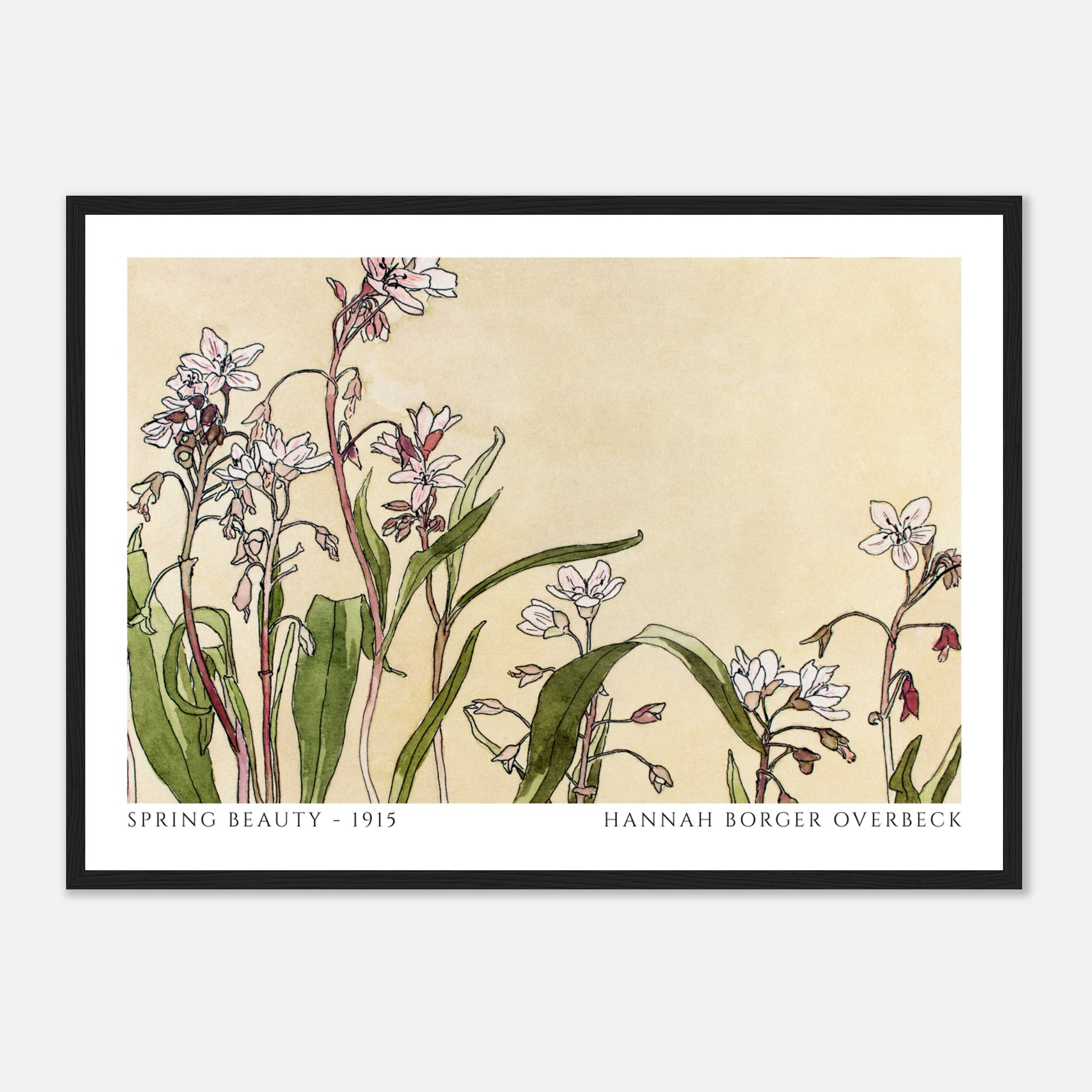 Spring Beauty by Hannah Borger Poster