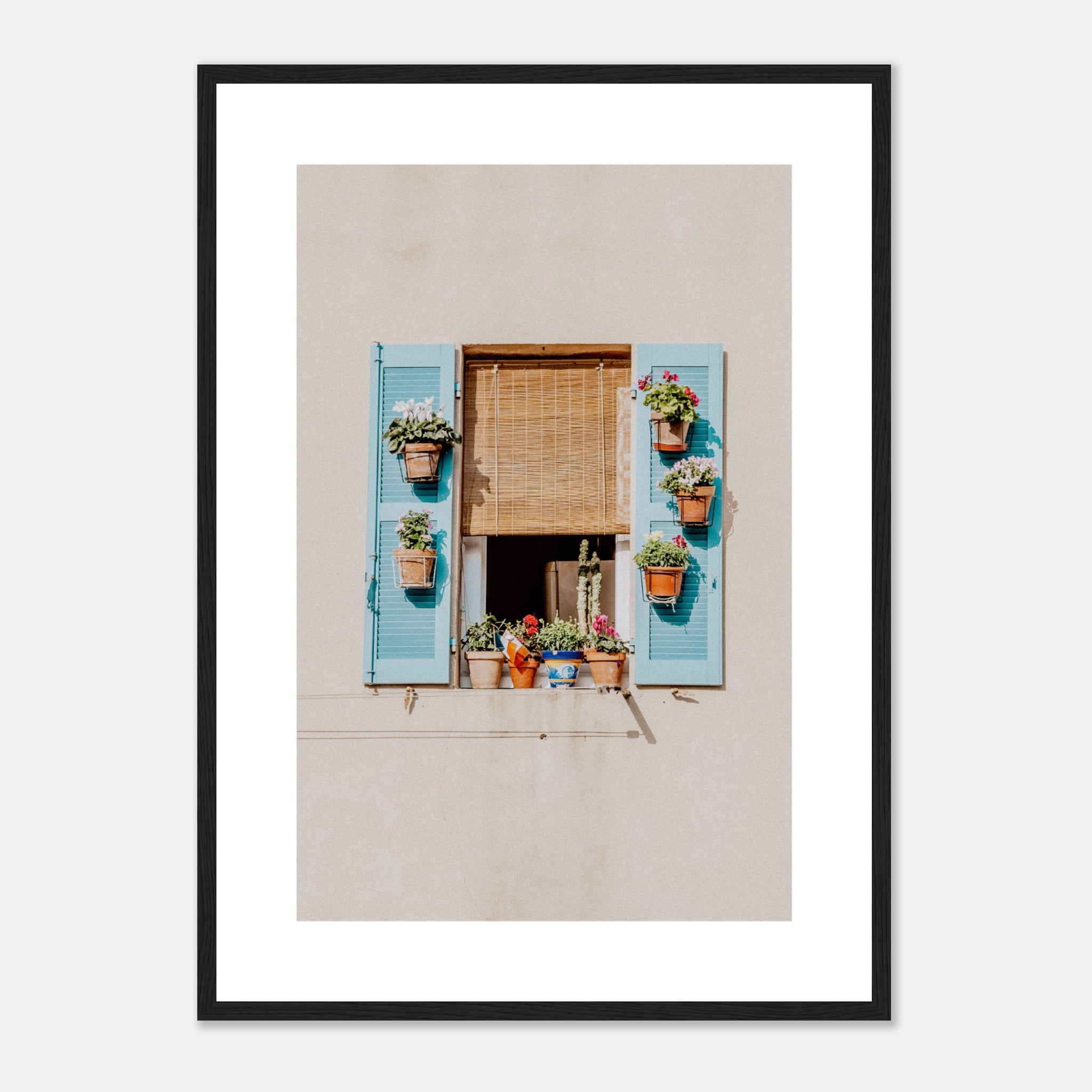 Window With Blue Shuttersand Flowers Poster