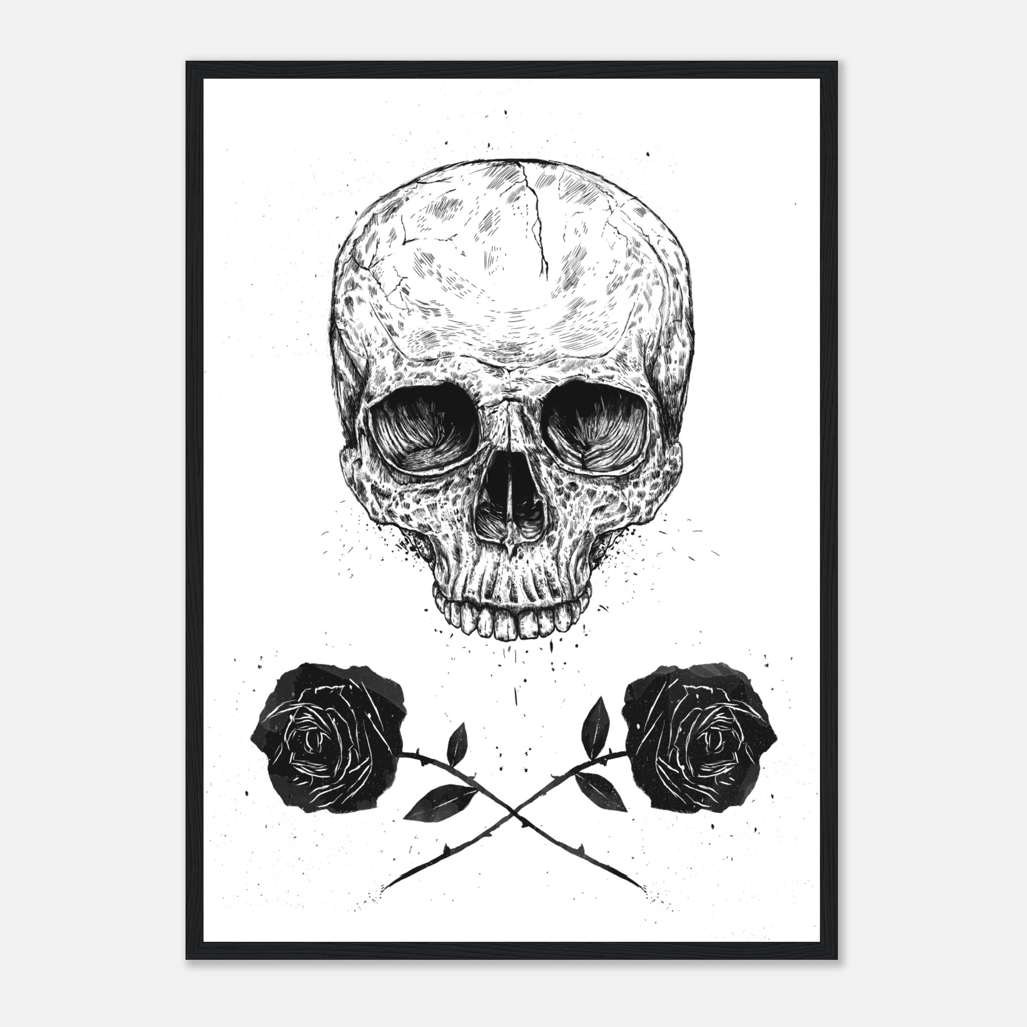 Skull N Roses Poster