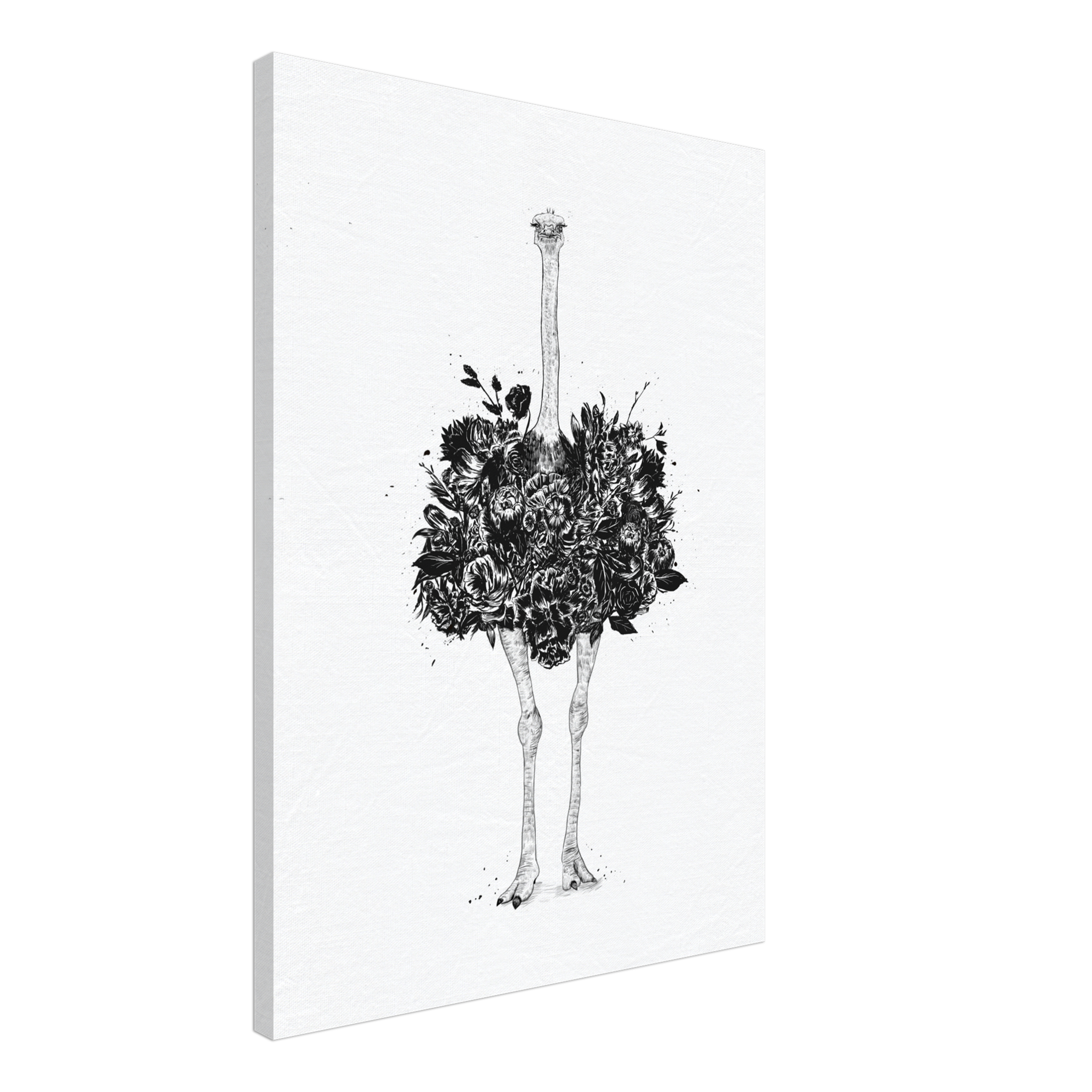 Floral Ostrich Canvas