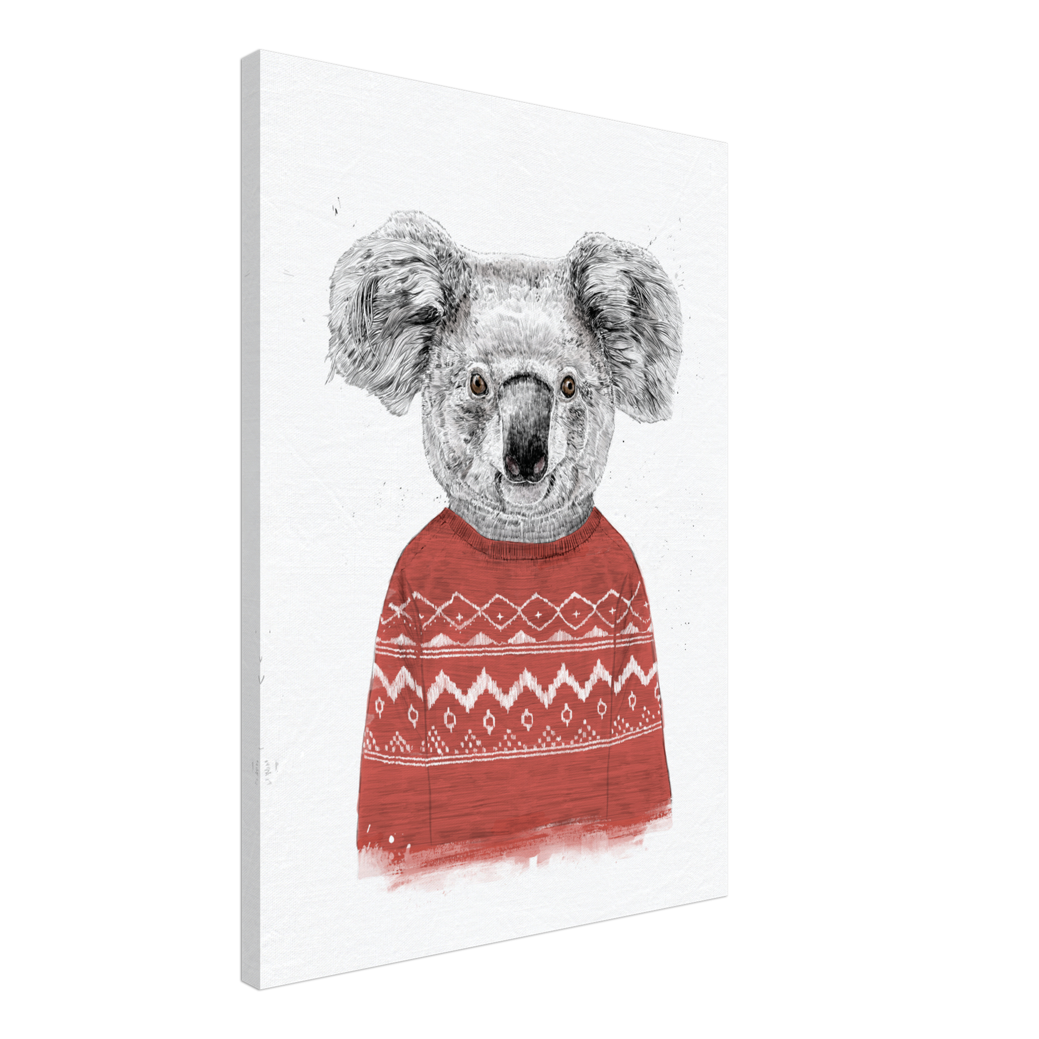Winter Koala Red Canvas